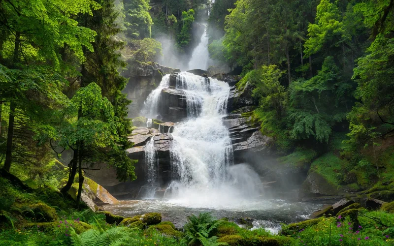 Waterfall in Ukrainian Carpathians forest