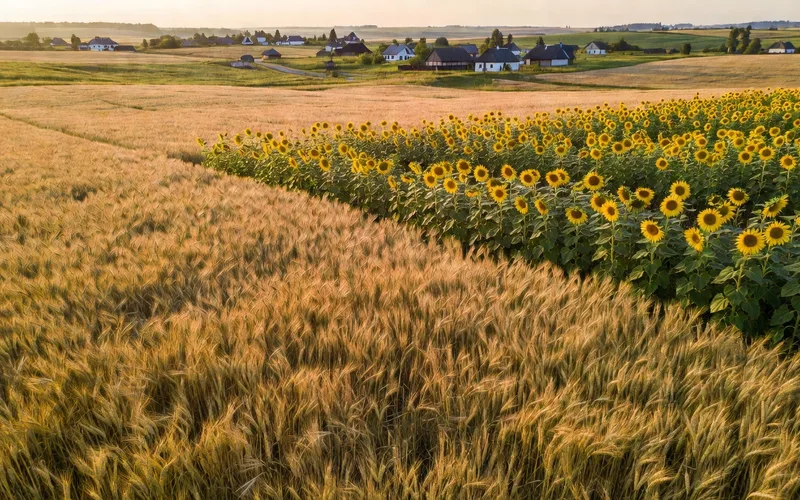 &Eacute;oliennes et panneaux solaires dans la campagne ukrainienne